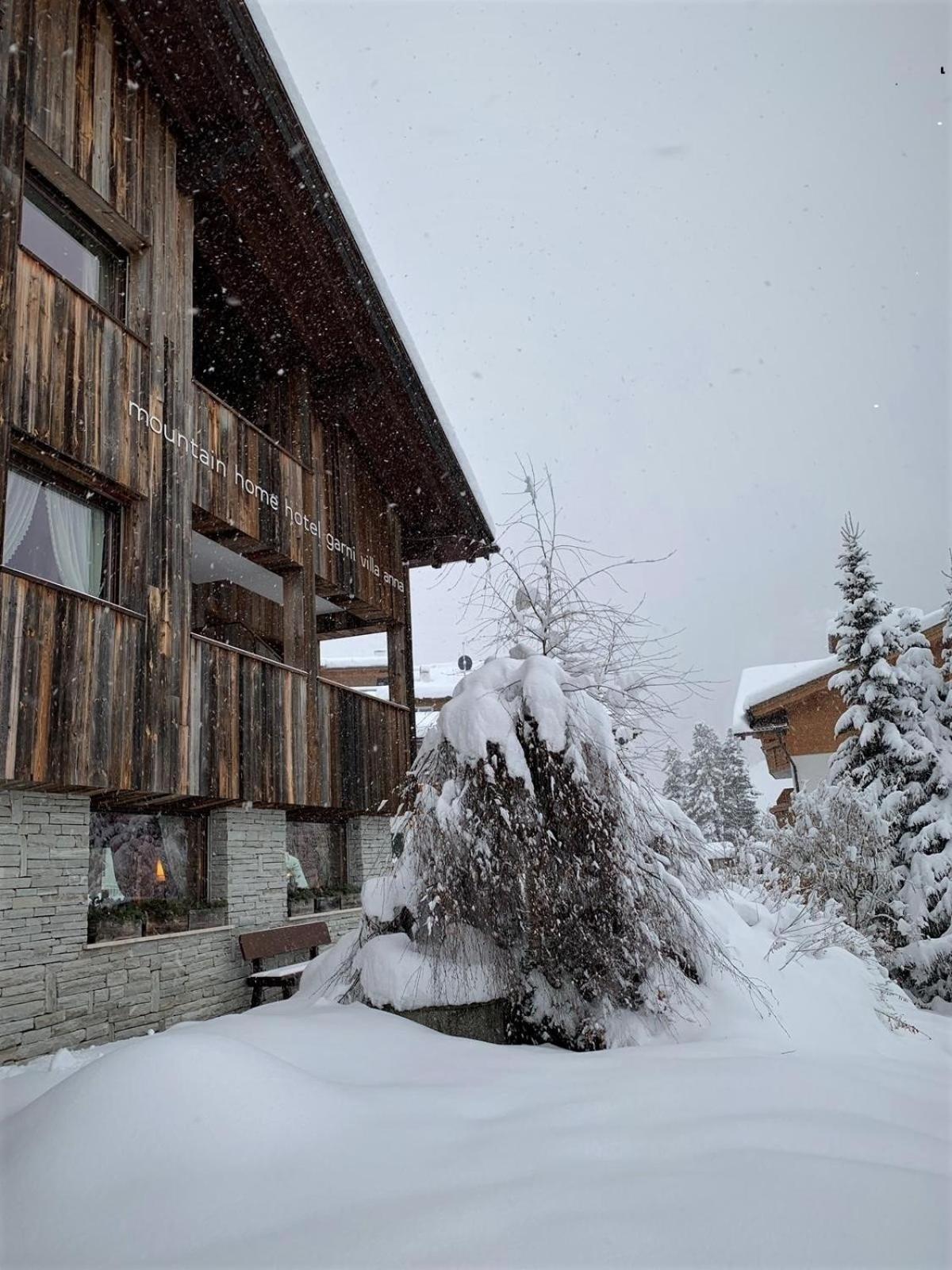Mountain Home Villa Anna 셀바디발가르디나 외부 사진